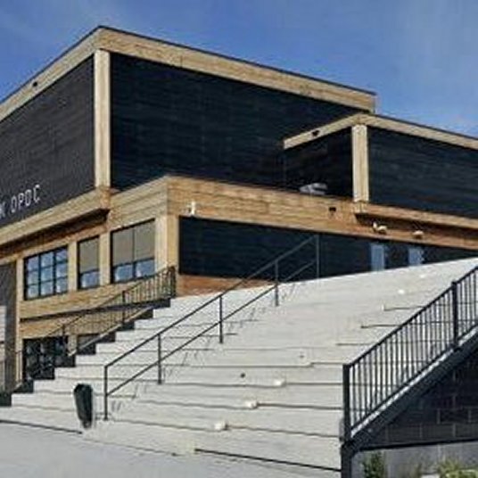 saenstroom-opdc-vierkant